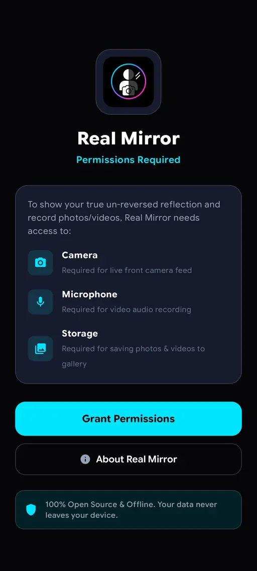 Real Mirror permission screen explaining camera, microphone, and storage access